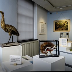 Bijzondere bruiklenen uit het Nationaal Onderwijsmuseum in de Kleine Zaal