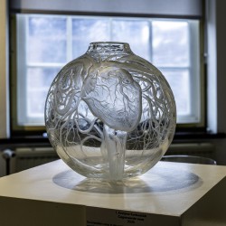 1e prijs: Kristýna Karbusická 1e prijs: Kristýna Karbusická