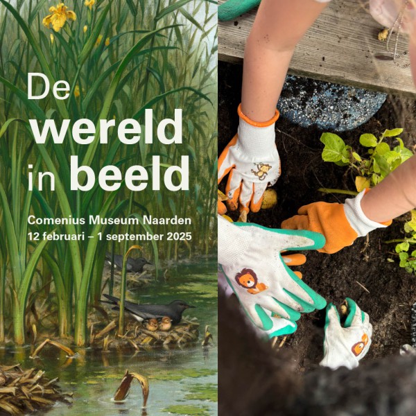 De Wereld in Beeld