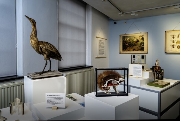 Nieuw programma bij De wereld in beeld