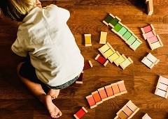 Reformpedagogiek op de schouders van Comenius Reformpedagogiek op de schouders van Comenius