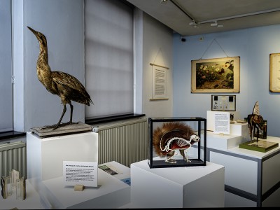 Nieuw programma bij De wereld in beeld