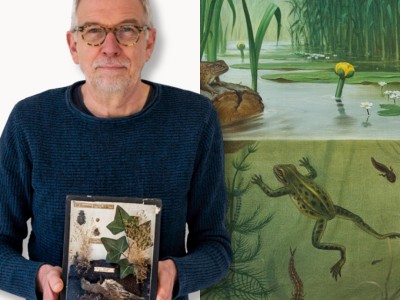 Lezing | Flora en fauna in de collectie van het Onderwijsmuseum (verplaatst naar 26 augustus)