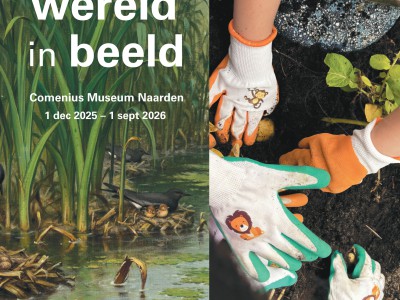 De wereld in beeld