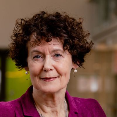 Prof. dr. Geert ten Dam - Voorzitter